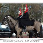 Garzile trecand pe langa Palatul Buckingham