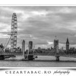 Raul Thames de pe unul din podurile din Londra