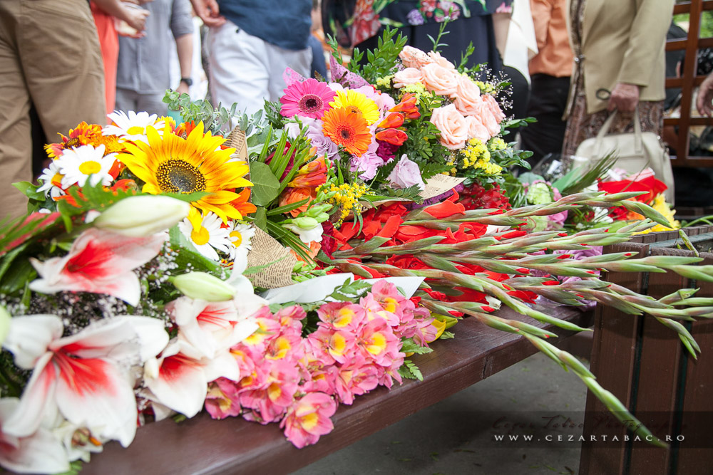 Cununie Civilă Silvia & Kimi — Sector 6 București - Cadrul 4 fotograf cununie civila Cezar Tabac Bucuresti