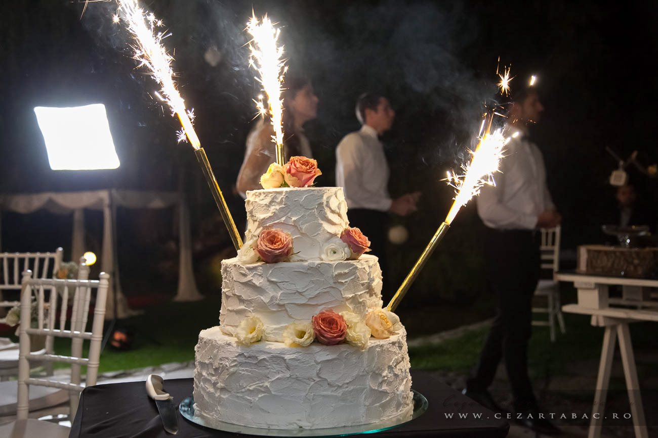 Nuntă Completă Mirela & Liviu — De la Pregătiri la Petrecere - Cadrul 65 fotograf Cezar Tabac București