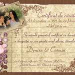 Acte necesare pentru eliberarea certificatului de casatorie